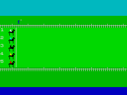 Derby Day (ZX Spectrum) screenshot: The race is about to start.