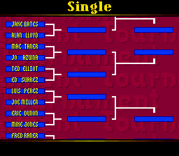 Davis Cup Tennis (SNES) screenshot: Singles tournament