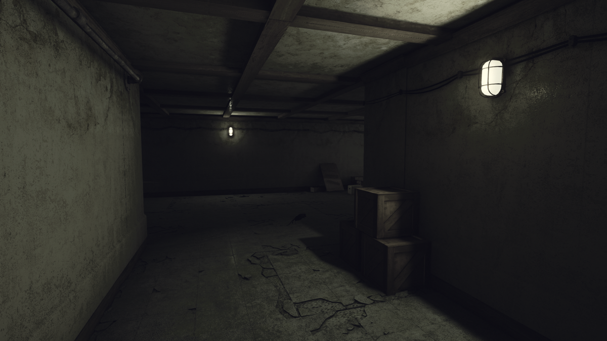 Rise of Insanity (Windows) screenshot: Boring basement corridor