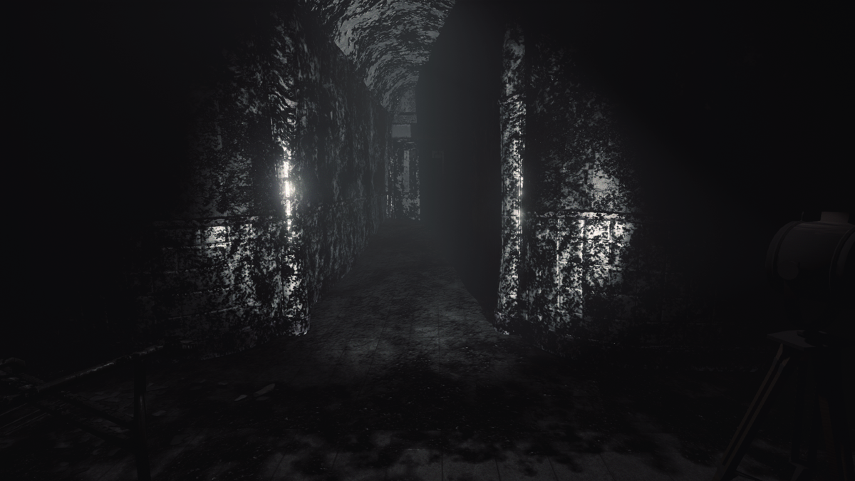 Rise of Insanity (Windows) screenshot: Creepy corridor