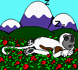 Zoboomafoo: Playtime in Zobooland (Game Boy Color) screenshot: Game over.