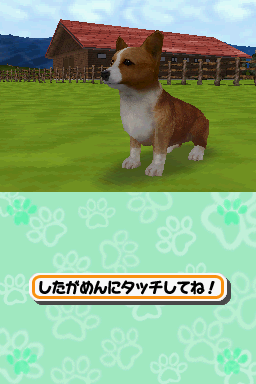 Animal Paradise (Nintendo DS) screenshot: First Meeting