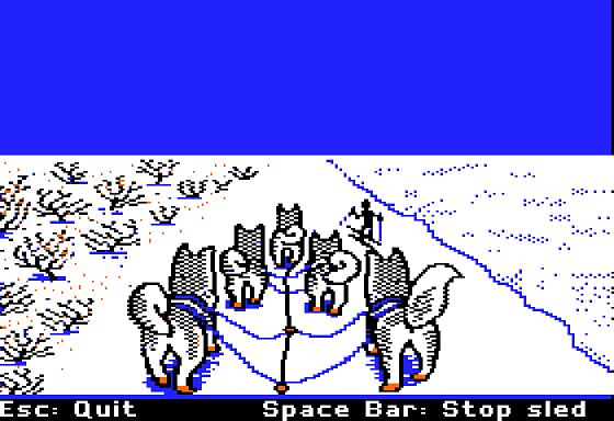 Dog Sled Ambassadors (Apple II) screenshot: Travelling a Trail