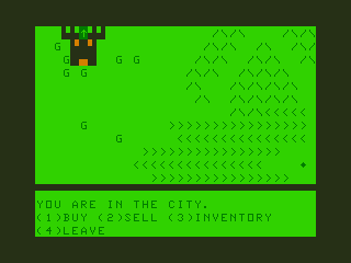 The Wizard's Tower (TRS-80 CoCo) screenshot: Visiting the City