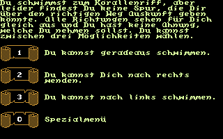 Schwert und Magie IV: Folge 7+8 (Commodore 64) screenshot: Folge Nr. 7: Start location; In which direction do you want to swim?