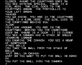The Secret of Arendarvon Castle (BBC Micro) screenshot: 'PUT' is to put an object into some other object.