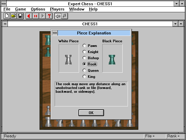 Expert Chess (Windows 16-bit) screenshot: Information about chess pieces