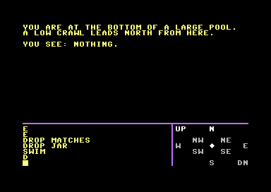Caverns of Doom (Commodore 64) screenshot: Swimming in a Natural Pool