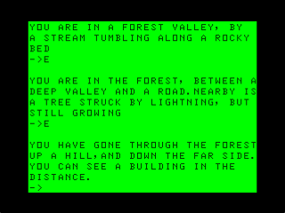 Colossal Cave (Dragon 32/64) screenshot: Lost in the Woods