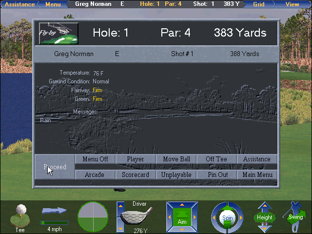 Greg Norman Ultimate Challenge Golf (Windows 3.x) screenshot: Information about the current situation