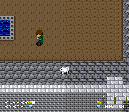 Lagoon (SNES) screenshot: It's just me and the dog near the pool...