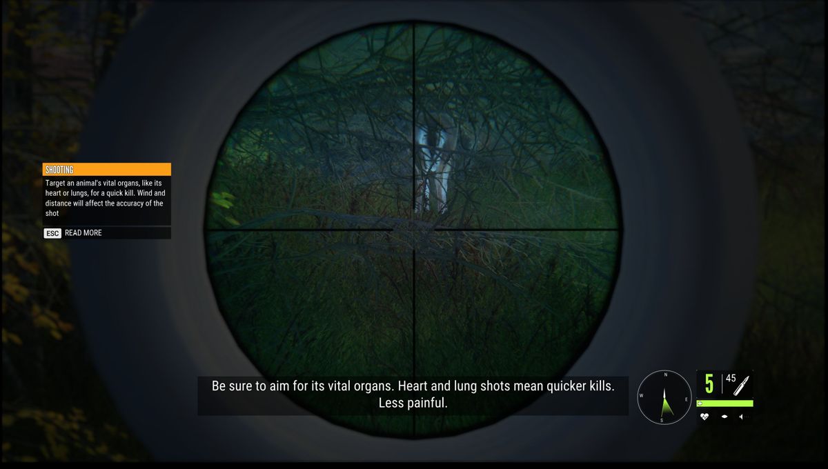 theHunter: Call of the Wild (Windows) screenshot: This is a white tailed deer