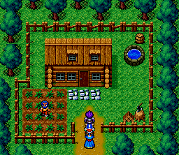 Magna Braban: Henreki no Yūsha (SNES) screenshot: Visiting a little secluded house