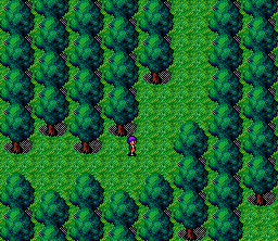 Magna Braban: Henreki no Yūsha (SNES) screenshot: Alex in the forest