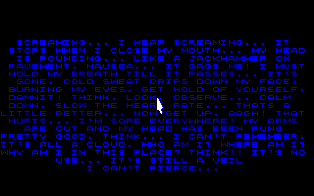 Screenshot of Countdown (Windows, 1990) - MobyGames