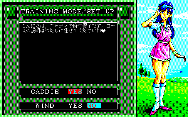 Albatross 2: Masters' History (PC-98) screenshot: Training mode set up