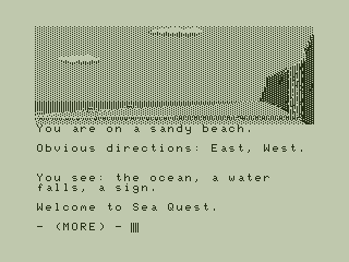 Sea Quest (Dragon 32/64) screenshot: On the Beach