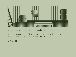 Sea Quest (Dragon 32/64) screenshot: Inside the House