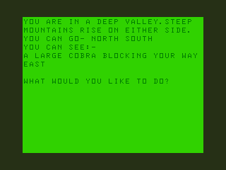 Pyradventure (Dragon 32/64) screenshot: Watch Out for Cobra