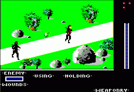 The Last Ninja (Apple II) screenshot: Time to Rumble