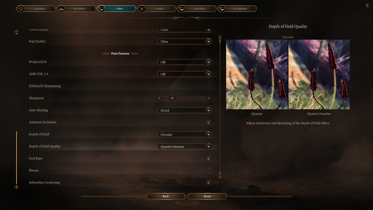 Baldur's Gate III (Windows) screenshot: The options are highly customizable and often come with previews of different settings.