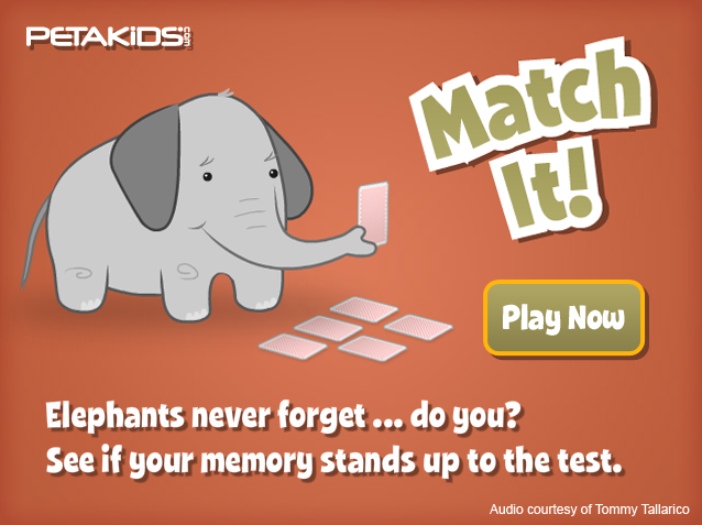 My Elephant Brain: An online memory game for remembering