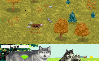 Wolf (DOS) screenshot: An ingame screenshot, showing both your wolf and a pack member.