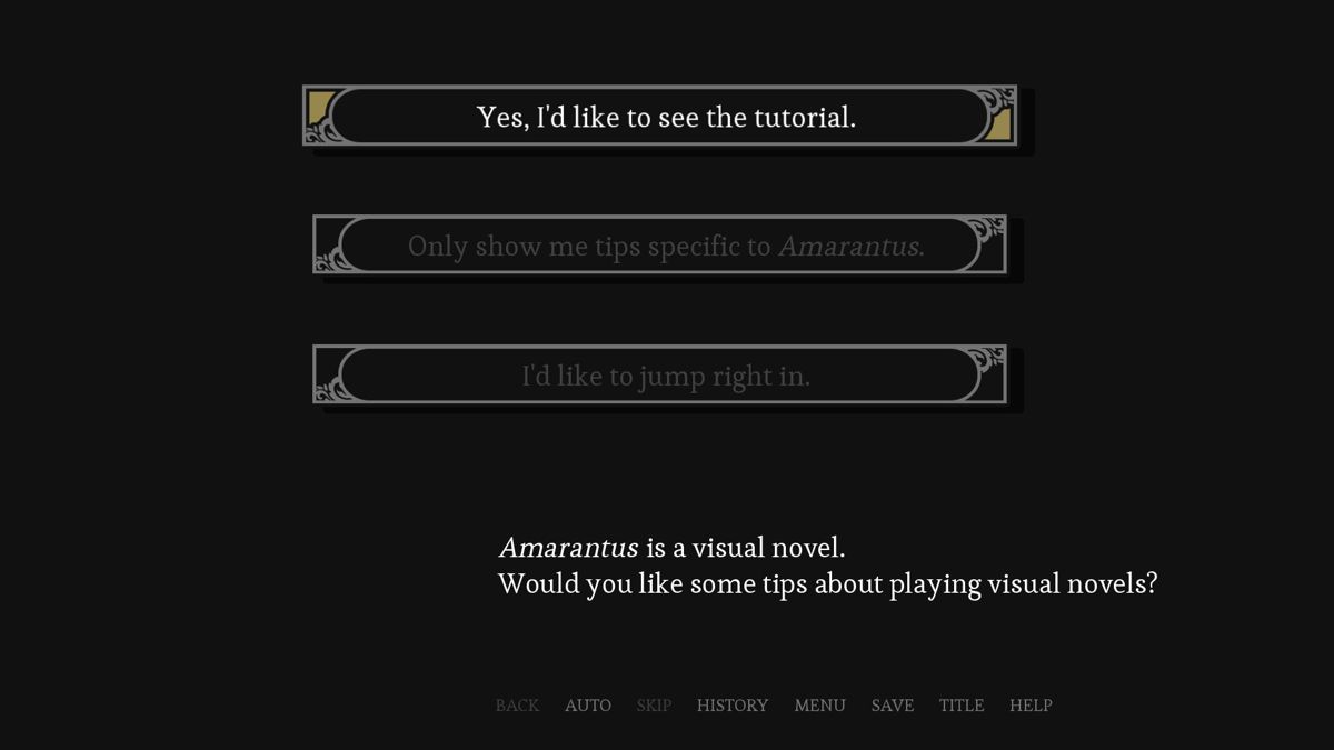 Amarantus (Windows) screenshot: There is an optional tutorial