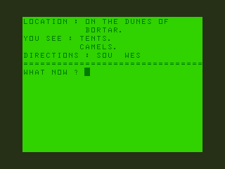 Don't Panic (Dragon 32/64) screenshot: Towers of Death: Encountering Nomads