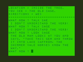 Don't Panic (Dragon 32/64) screenshot: Towers of Death: I Found the Sage