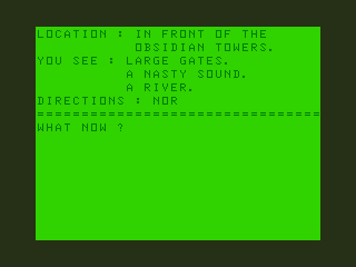Don't Panic (Dragon 32/64) screenshot: Towers of Death: At the Entrance to the Towers