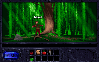 Fables & Fiends: The Legend of Kyrandia - Book One (DOS) screenshot: After - They did a great job on the colors big time!