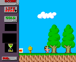 Wonder Boy in Monster Land (TurboGrafx-16) screenshot: The Beginning