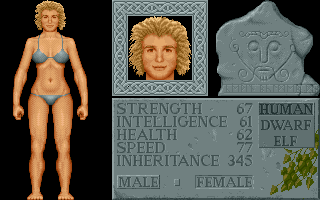 Legends of Valour (DOS) screenshot: Character creation (apparently a female shown)
