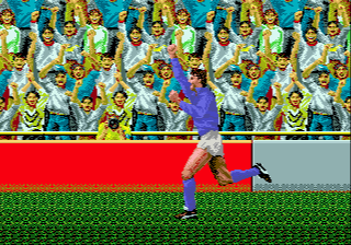 World Championship Soccer (Genesis) screenshot: Goal!!!