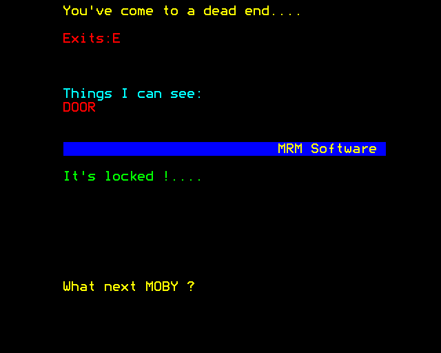 Secret Sam 2 (BBC Micro) screenshot: Locked Door