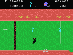 Candoo Ninja (MSX) screenshot: Climbing ropes to retrieve keys.