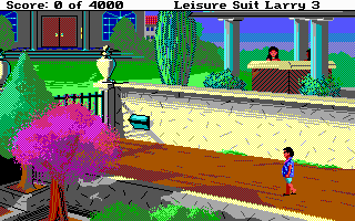 Leisure Suit Larry III: Passionate Patti in Pursuit of the Pulsating Pectorals (DOS) screenshot: Your house... but not for long