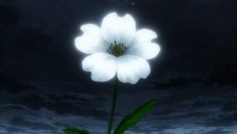 Shining Blade (PSP) screenshot: ... flowers blossomed...