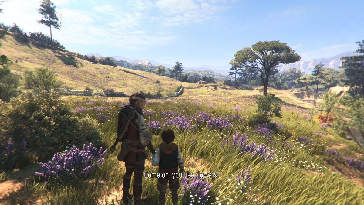 A Plague Tale: Requiem (PlayStation 5) screenshot: A lovely meadow