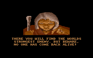 Double Dragon 3: The Rosetta Stone (DOS) screenshot: Intro - Beware!