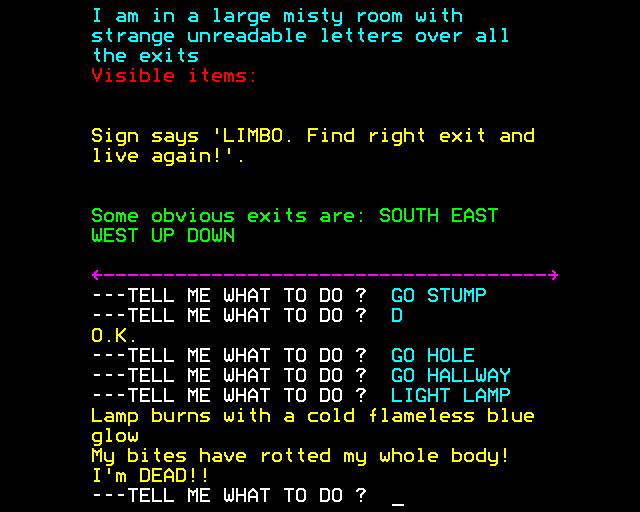 Adventureland (BBC Micro) screenshot: I Died from Infection