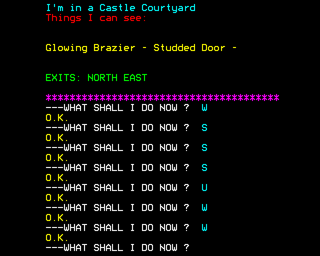 Feasibility Experiment (BBC Micro) screenshot: In the Castle Courtyard