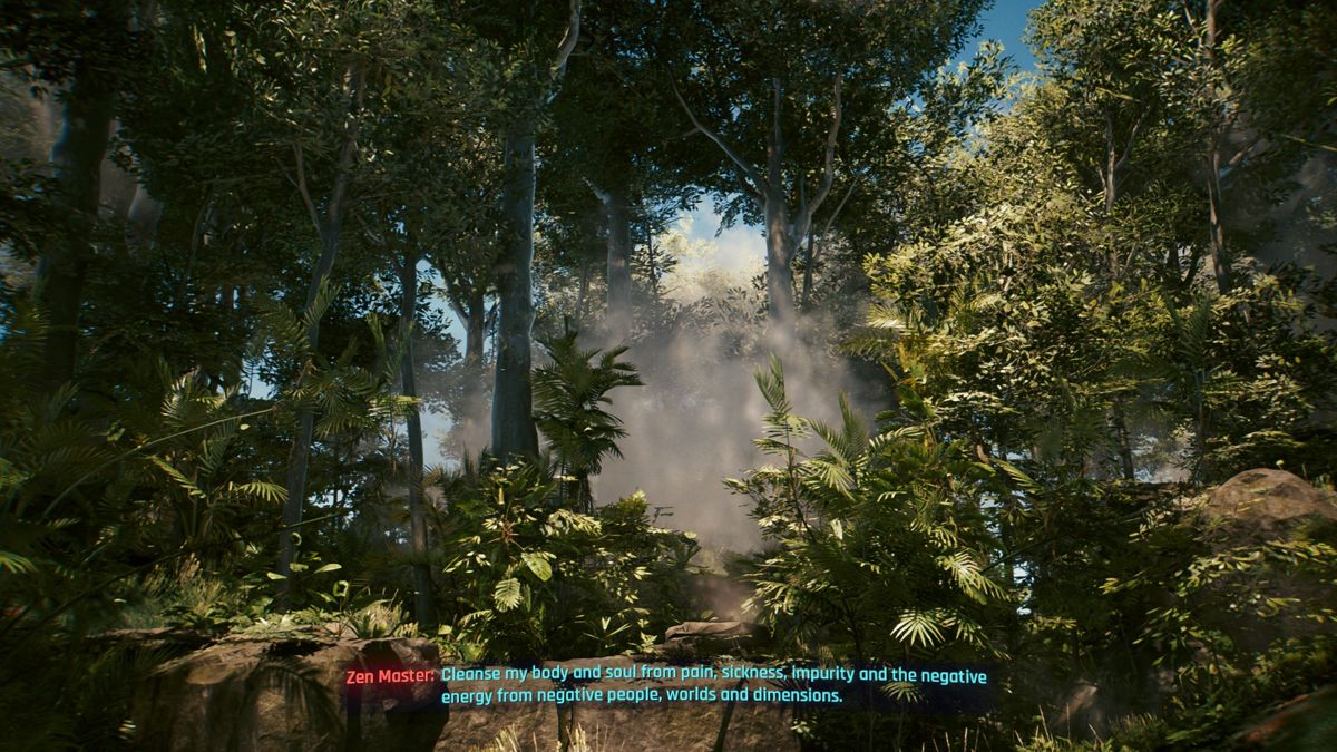Cyberpunk 2077 (Windows) screenshot: Smoke monster? That you?