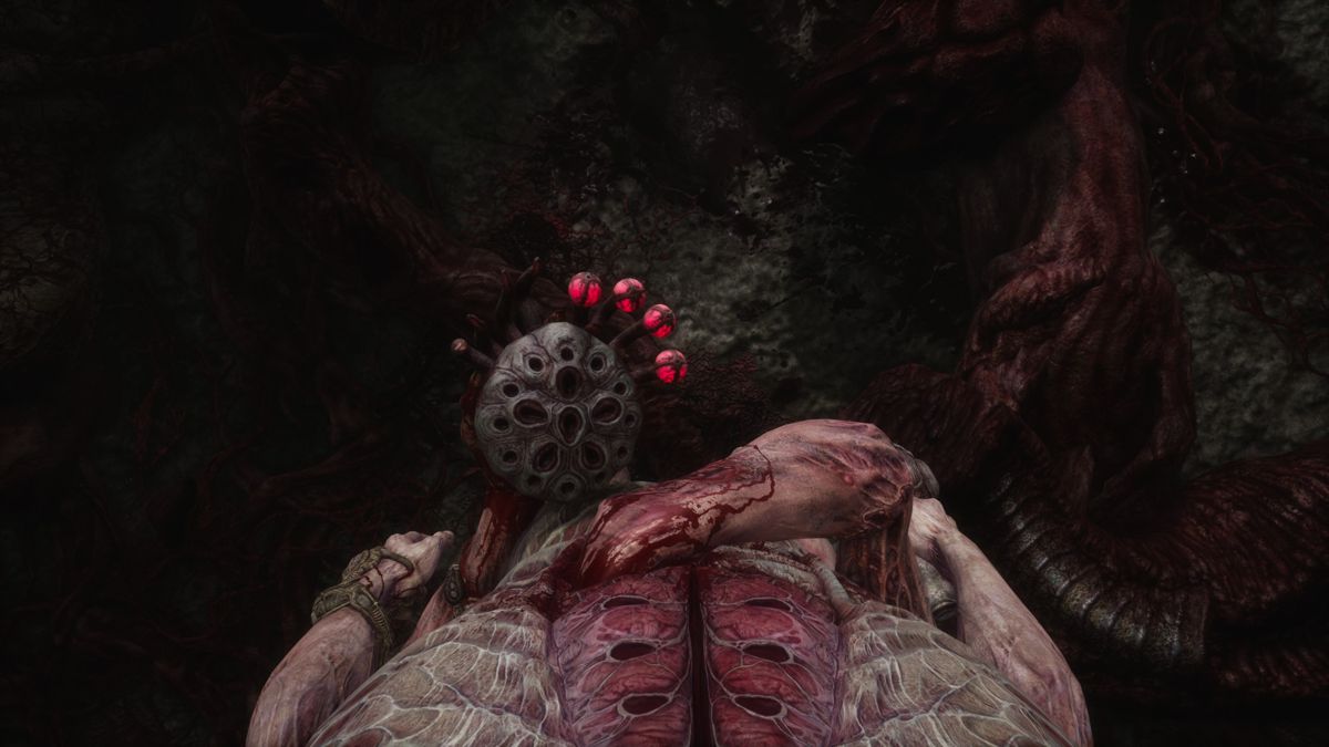 Scorn (Windows) screenshot: Looking down, at your body and the 'tool' you use to heal.