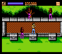 Lethal Weapon (NES) screenshot: The Gardens