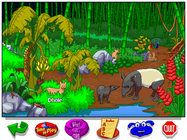 Let's Explore the Jungle (Windows) screenshot: Dholes and other Asian life along the water