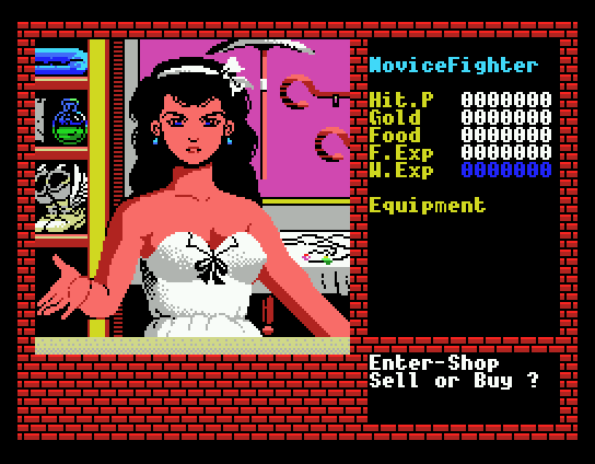 Xanadu: Dragon Slayer II (MSX) screenshot: Hey baby, what's your sign?!