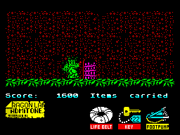 Little Puff in Dragonland (ZX Spectrum) screenshot: It's possible to open this door with key 22