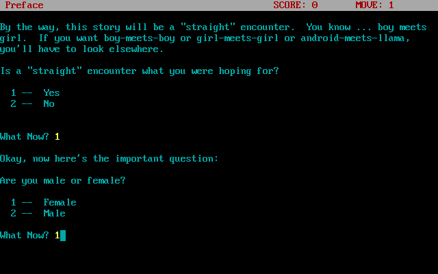 Love's Fiery Imbroglio (DOS) screenshot: Character generation (AGT port)